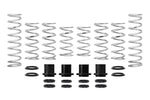 Eibach Pro-UTV 17-18 Polaris XP1000 Turbo 2-Seat Stage 3 Performance Springs