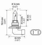 Hella Bulb 9005/Hb3 12V 65W P20D T4 (2)