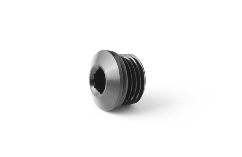 GFB -6AN Blanking Plug (Suits FXR 8060)