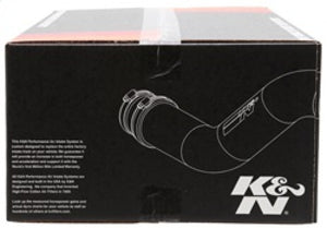 K&N 02-06 Nissan Altima L4-2.5L Silver Typhoon Short Ram Intake