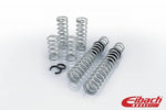 Eibach Pro-UTV 17-19 Polaris RZR XP1000 2-Seat EPS Stage 2 Performance Springs