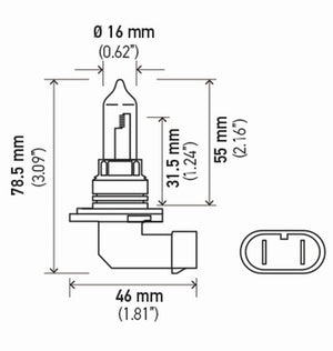 Hella Bulb 9005 12V 65W P20D T4 +50 (2)