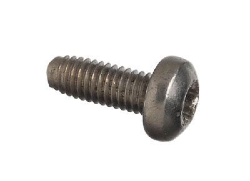 Schrader Replacement T-10 Screws - 25 Pack