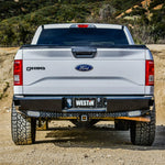 Westin 15-20 Ford F-150 HDX Bandit Rear Bumper - Black