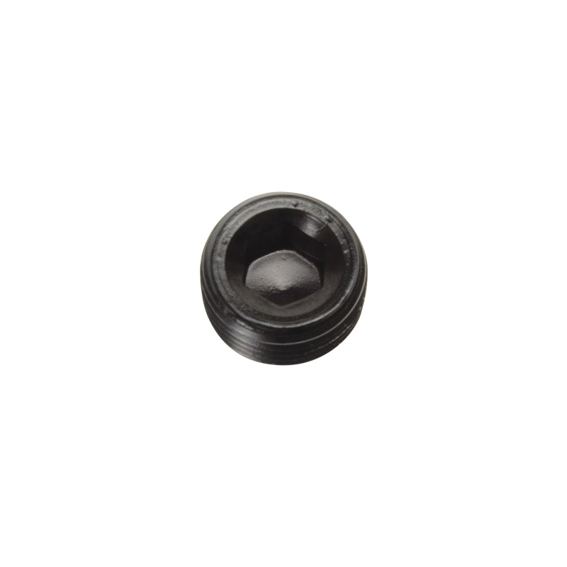 Russell Performance 3/8in Allen Socket Pipe Plug (Black)