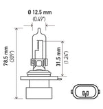 Hella Bulb 9005XS 12V 100W XEN WHT XB (2)