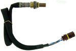 NGK Mercedes-Benz C43 AMG 2000-1998 Direct Fit Oxygen Sensor