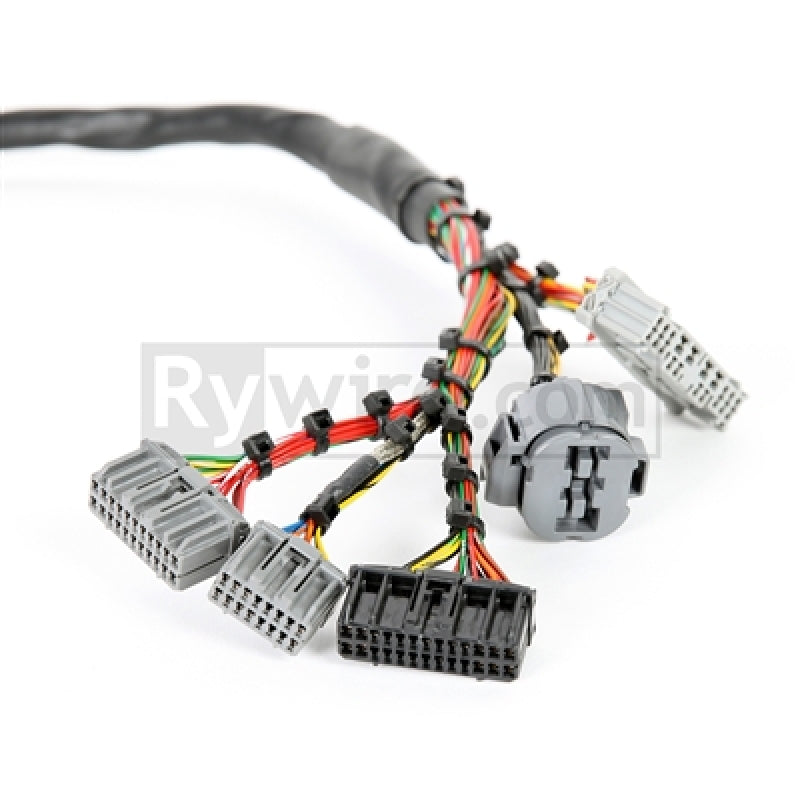 Rywire Honda B-Series Mil-Spec Eng Harness w/OBD2 Dist/Inj/Alt & OBD1 92-95 ECU Plugs (Adapter Req)