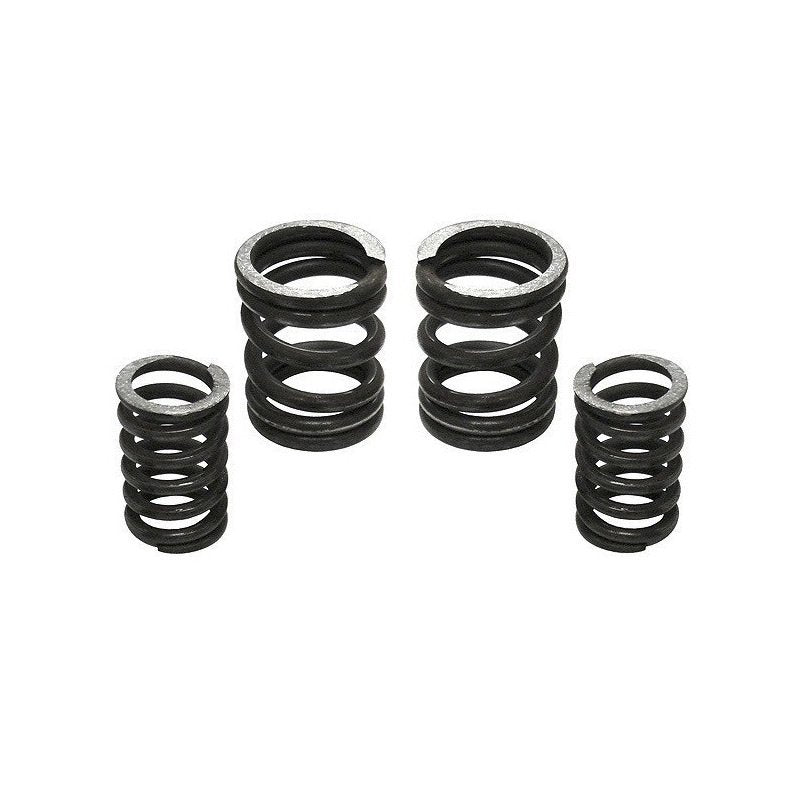 Industrial Injection Dodge 5.9L Cummins 12V 5000 Governor Spring Kit