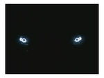 Spyder Dodge Dakota 97-04/Durango 98-03 1PC Projector Headlights LED Halo LED Chrm PRO-YD-DDAK97-C