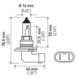 Hella 9006 12V 55W Halogen Bulb