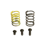 Industrial Injection 94-98 Dodge 12V AFC Spring Kit