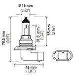 Hella 9006 12V 55W Halogen Bulb