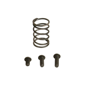 Industrial Injection 94-98 Dodge 12V AFC Spring Kit